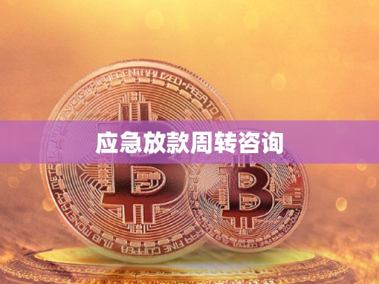 应急放款周转咨询