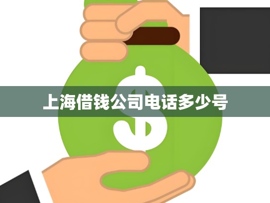 上海借钱公司电话多少号
