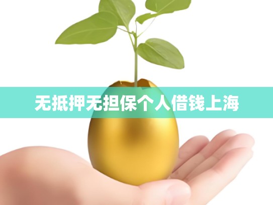 无抵押无担保个人借钱上海