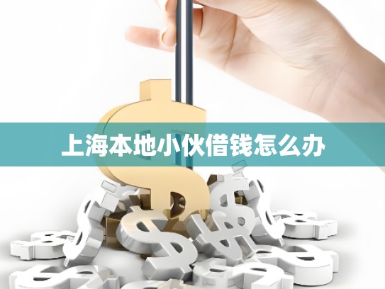 上海本地小伙借钱怎么办