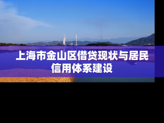 上海市金山区借贷现状与居民信用体系建设