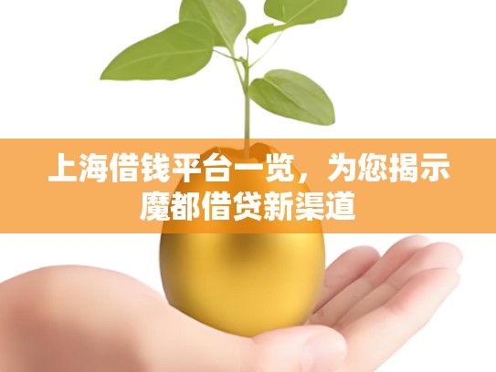 上海借钱平台一览，为您揭示魔都借贷新渠道