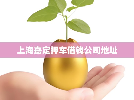 上海嘉定押车借钱公司地址