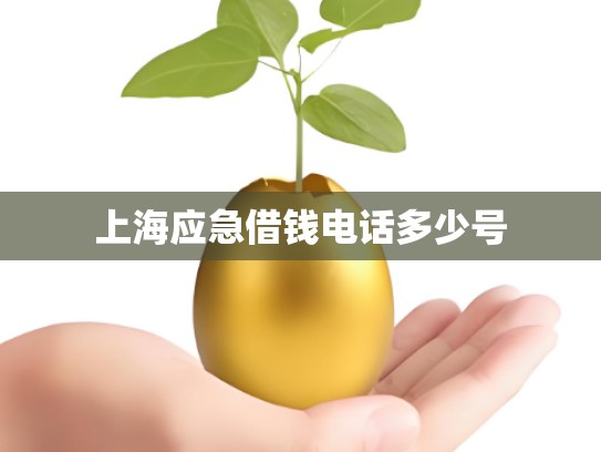 上海应急借钱电话多少号