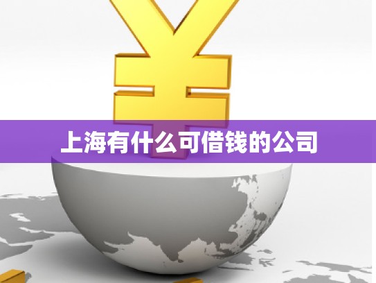 上海有什么可借钱的公司
