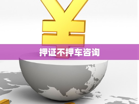 押证不押车咨询