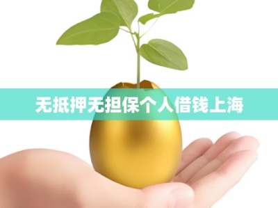 无抵押无担保个人借钱上海