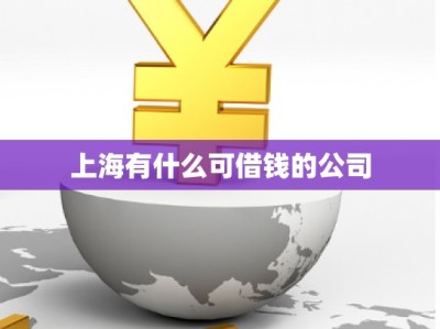 上海有什么可借钱的公司