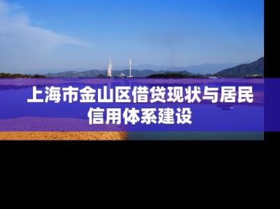 上海市金山区借贷现状与居民信用体系建设