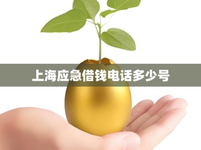 上海应急借钱电话多少号