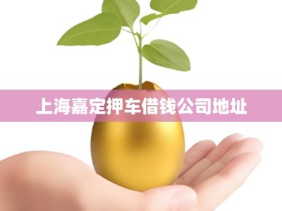 上海嘉定押车借钱公司地址