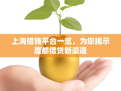 上海借钱平台一览，为您揭示魔都借贷新渠道