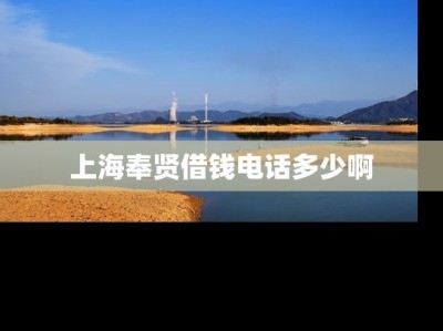 上海奉贤借钱电话多少啊